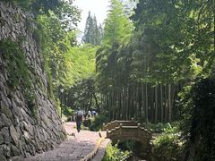 -莫干山风景区