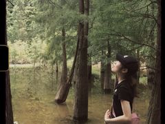 -广州市帽峰山景区