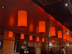 -捞王猪肚鸡火锅(财富中心店)