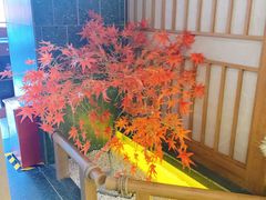 -九田家黑牛烤肉料理(新辰里亚运村店)