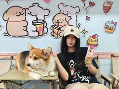 -汪说·狗咖·拼豆·宠物周边DIY(旺城大厦店)