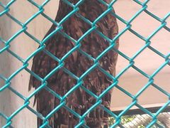 -广东茂名森林公园