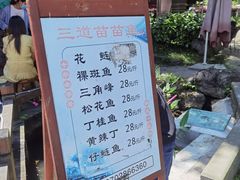 -三道苗苗鱼(三道堰老字号店)