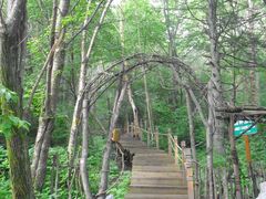 -五营红松林海景区