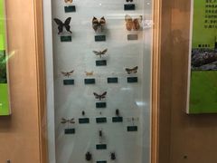 -陕西自然博物馆