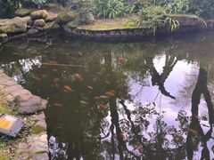 -南山植物园