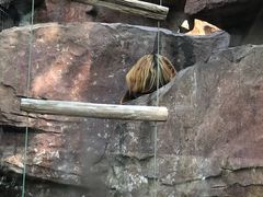 -临沂动植物园