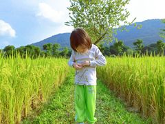 -艾米稻香小镇