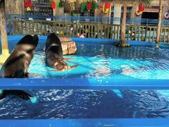 -横店影视城梦幻谷园区