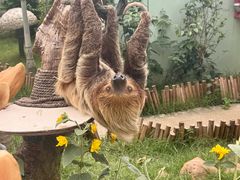 -正佳雨林生态植物园