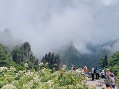 -黄山风景区