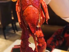 -红辣椒·川菜·火锅(科华路店)