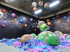 -杨梅红艺术教育(万象城校区)