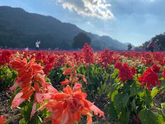 -广州市石门国家森林公园