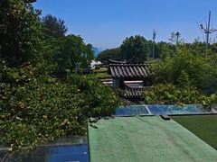 -慢丽江·云南野生菌土鸡锅(付家庄店)