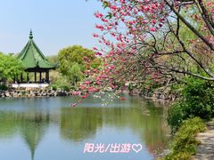 -无锡蠡湖国家湿地公园-蠡园