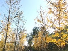 -白鹿原影视城