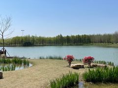 -苏州太湖国家湿地公园