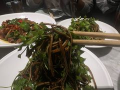 -北平盛世·新京菜·北京烤鸭(劲松·双井店)