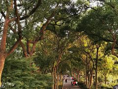-湖畔居茶楼(湖滨店)