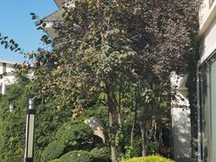 -国御温泉度假小镇