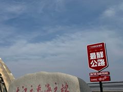 -大家发海鲜城夜排档(华山中路店)