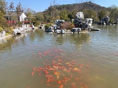 -狼山风景名胜区