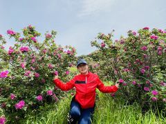 -密云玫瑰情园