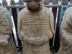 -苏州大学理想眼科医院