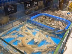 -加餐海鲜自助(宝龙一城店)