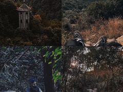 -午潮山国家森林公园