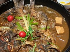 -老板恋上鱼(恒隆广场店)