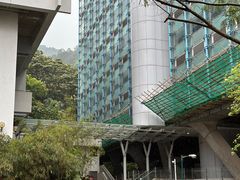 -香港大学