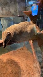 -Zoolung Zoolung动物主题公园(海信广场店)