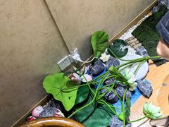 -剧狐剧本杀·月球探案馆(人民广场1号店)