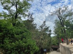 -延安杨家岭革命旧址