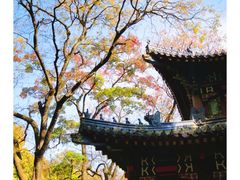 -灵谷景区
