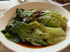 -百利鸽王(紫薇路店)