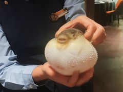 大堂-肆月河豚·淮扬菜·湘菜(华天店)