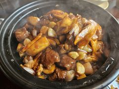 -滇野云南野生菌餐厅(陕西南路店)