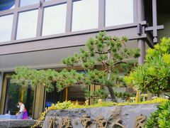 -外滩·云南人家(昆明旗舰店)