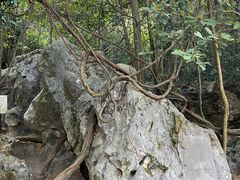 -杭州西湖风景名胜区-三生石