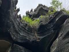 -梭布垭石林景区