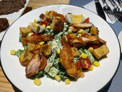 鸡肉凯撒沙拉-伊斯坦布尔土耳其清真咖啡餐厅