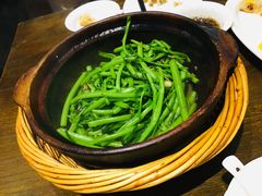 -熠盛粤味·顺德桑拿鸡(永康路店)