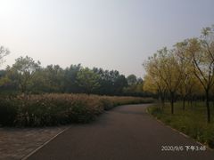 -东郊湿地公园