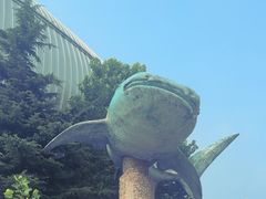 -烟台海昌鲸鲨海洋公园