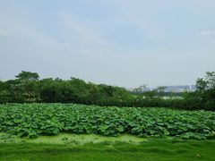 -盘龙城遗址博物院