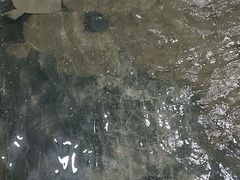 -阔澜蒸汽海鲜自助