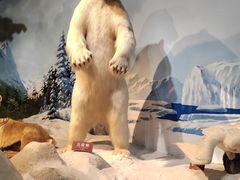 -陕西自然博物馆